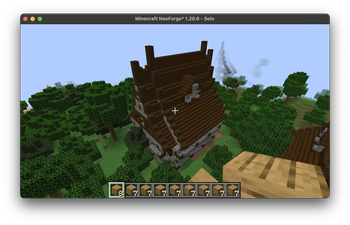 The manor/noble house
