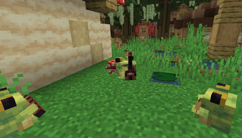 Ribbit Village