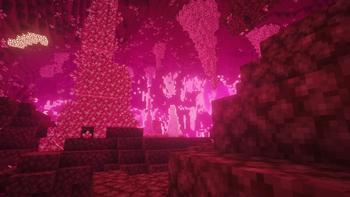 Nether