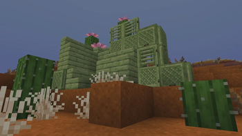 Cactus Wood Set