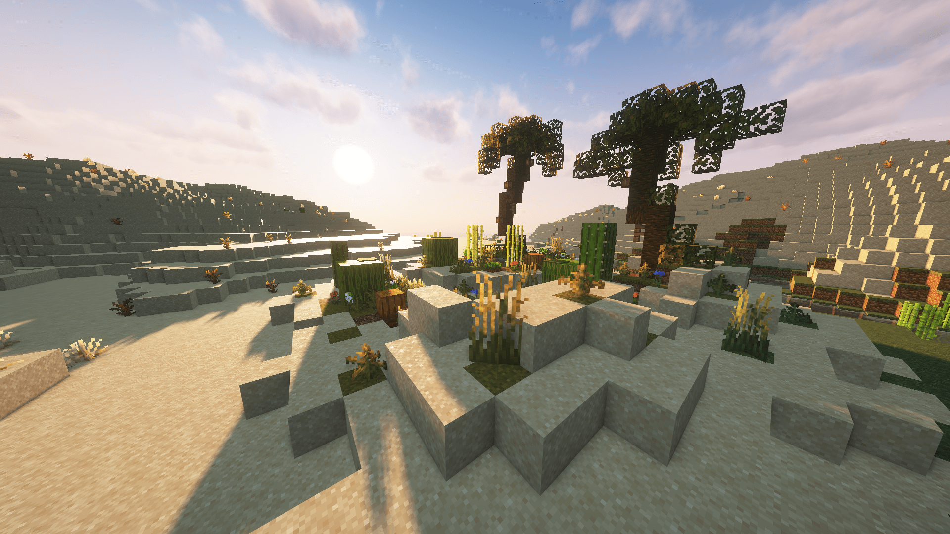 Display "Oasis"