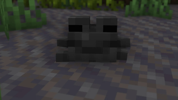 BlackFrog