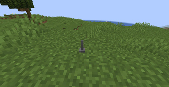 Nail Trap