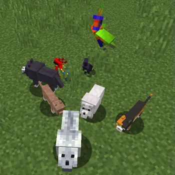 Backported and new pet variants