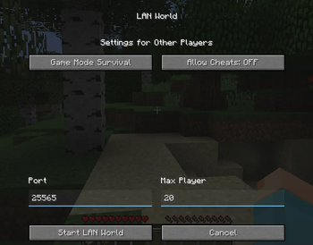 LAN world customization