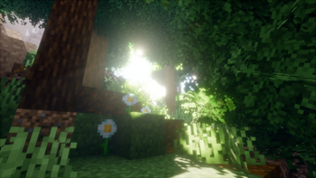 Photon reimagined