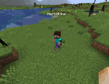 Herobrine nametag