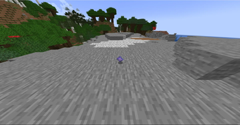 The Nether Star