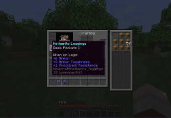 Limited inventory space per level