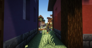 In the Alley of the Village