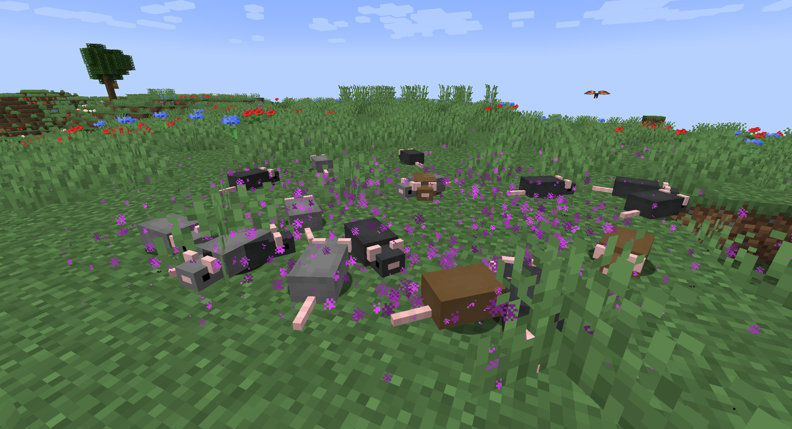 EnderRat - Gallery
