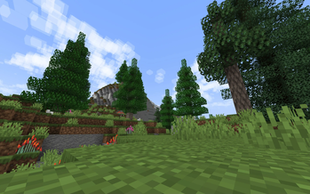 New wood types!