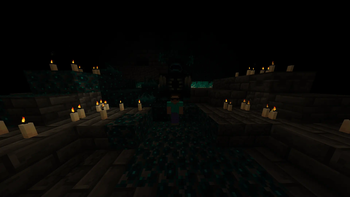 Before using the mod