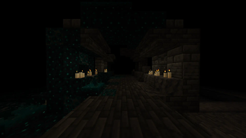 Before using the mod (1st person)