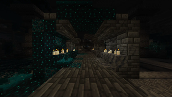 After using the mod (1st person)