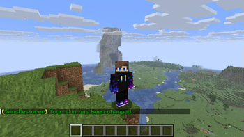 Change your in-game skin