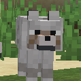 No Wolf Skin Variants