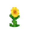Seeds of Gold