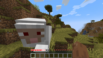 sheep attacking player