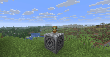 Totem Item