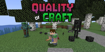 Quality of Craft