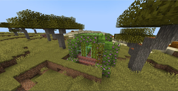 Greenhouse