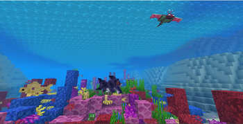 Under water fauna