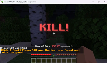 Hide & Seek — screenshot 1