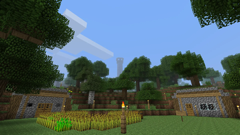 Village