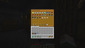 Chest Interface