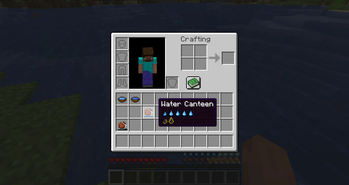 AppleSkin-like Previews