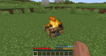Purify water items on a Campfire