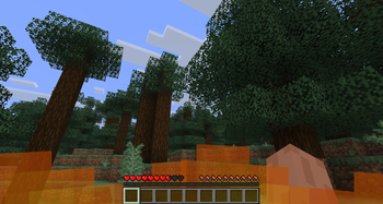 Fire overlay with GUI enabled.