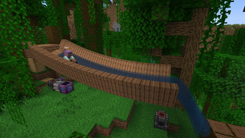Forest Slide