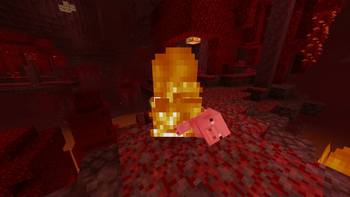 most mobs will be burned to death immediately in the nether