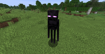 Normal Enderman