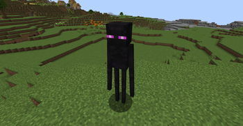 Normal Enderman