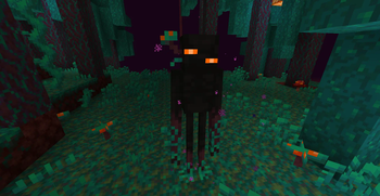 Warped Forest