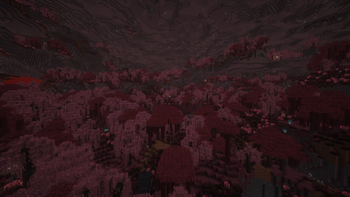 Nether