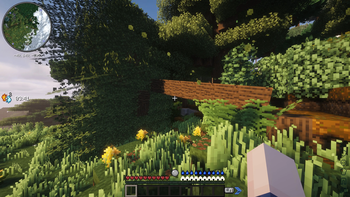 Survival featuers