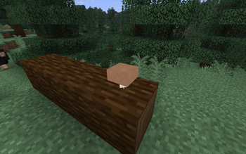 Vanilla 3D mushrooms — screenshot 6