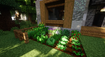 Crops (2 of 2)