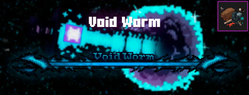 Void Worm