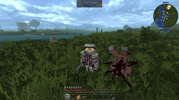 Cursed Conquest