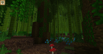 Bamboo Understory