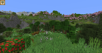 Flowering Vista