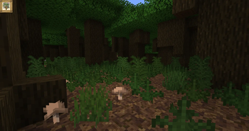 Dark Forest