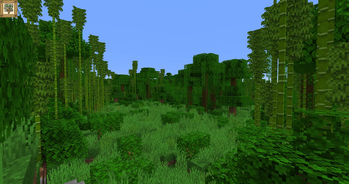 Sparse Jungle