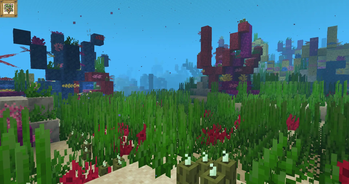 Coral Meadow