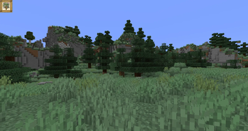 Windswept Cliffs